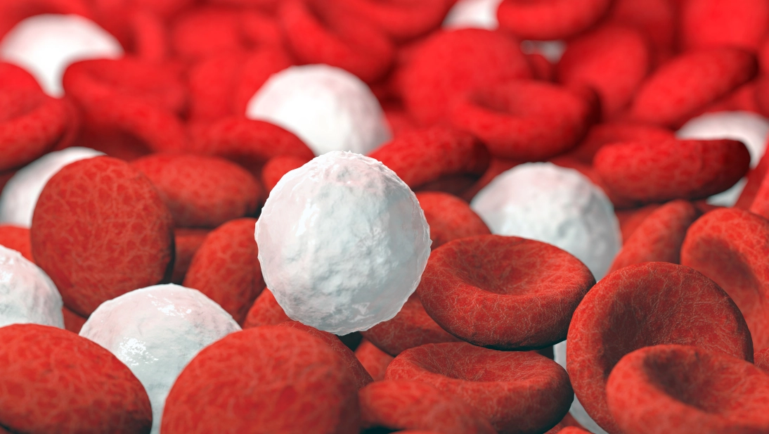 Huzurevinde Hipoglisemi Hasta Bakımı